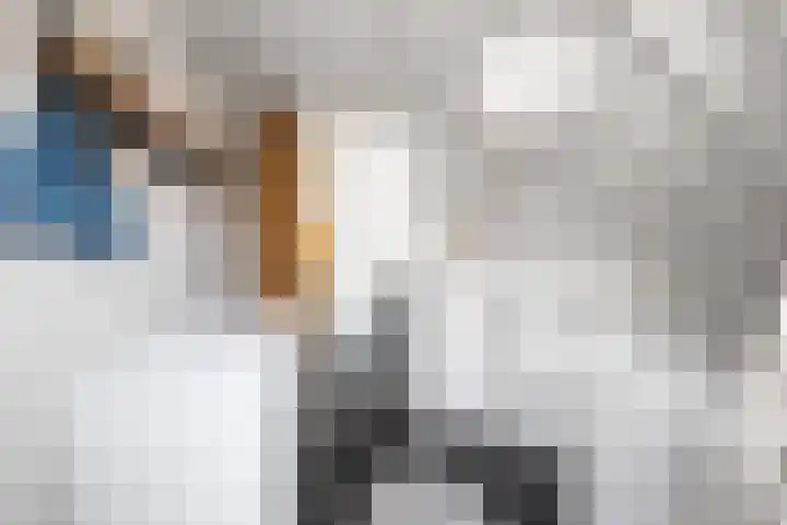 Marwei 4 Jistrum thumbnail 34