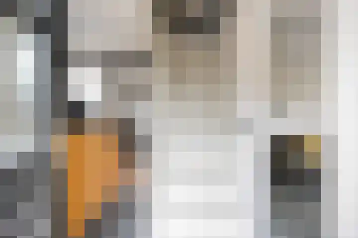Marwei 4 Jistrum thumbnail 7