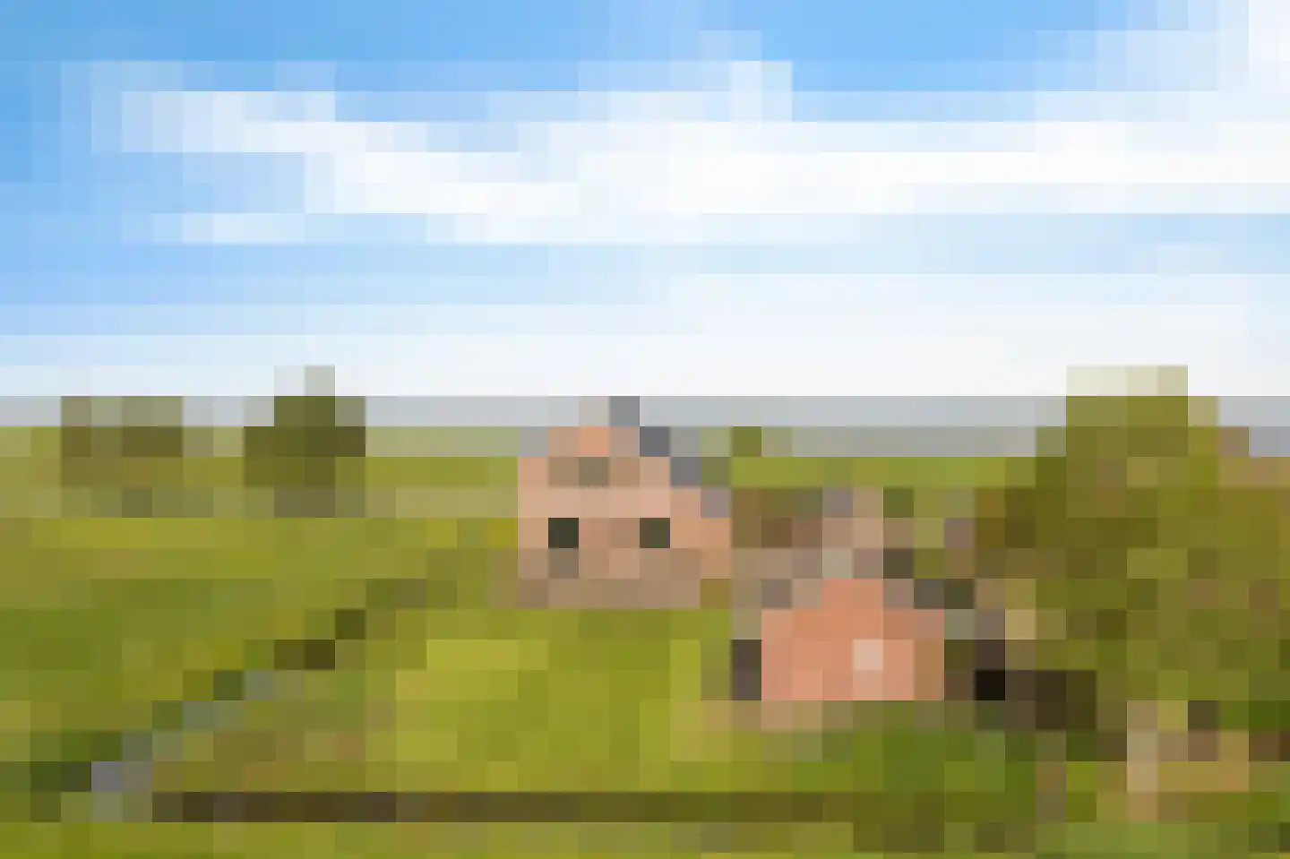 Marwei 82 Delfstrahuizen thumbnail 40