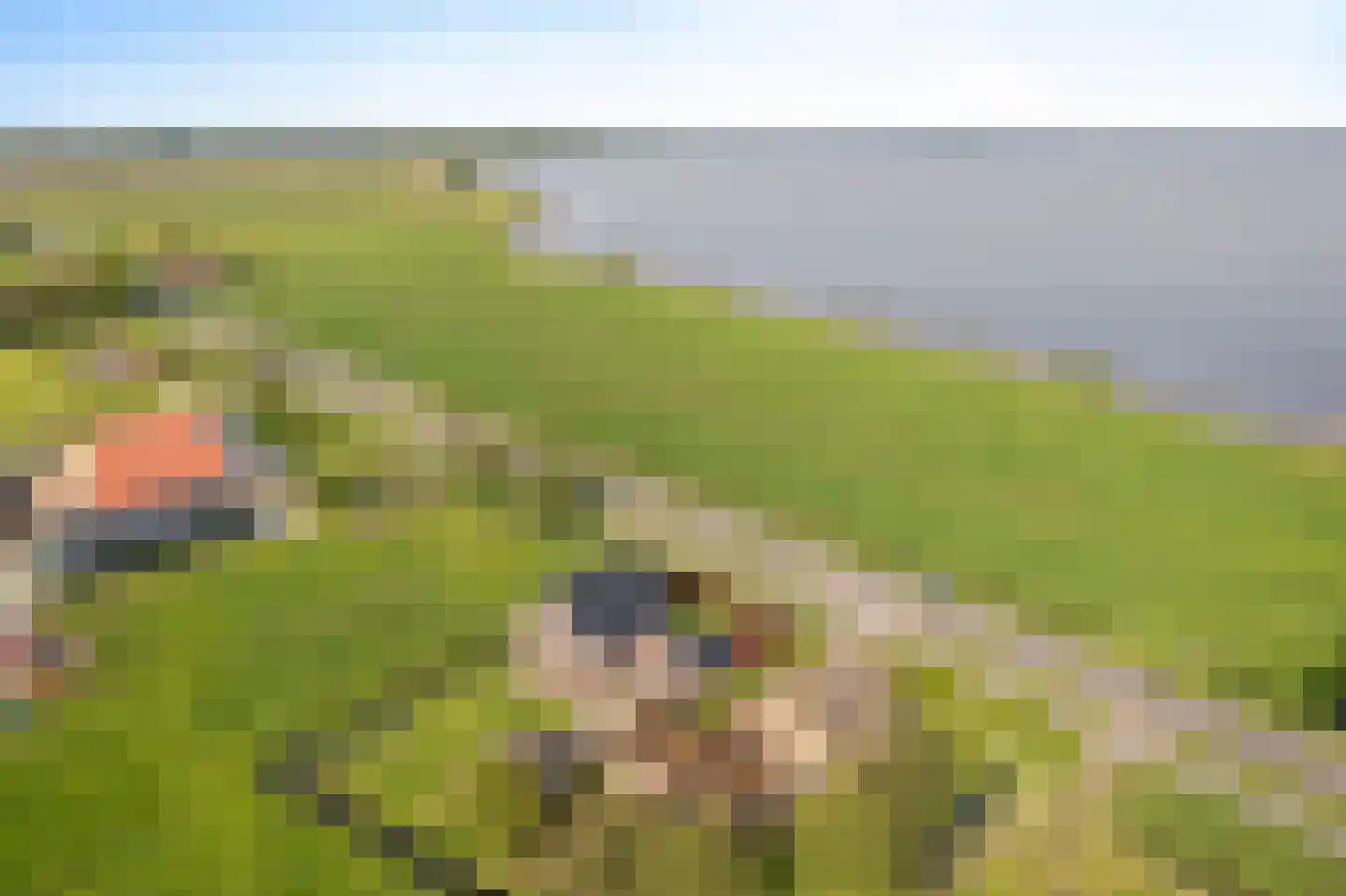 Marwei 82 Delfstrahuizen thumbnail 48