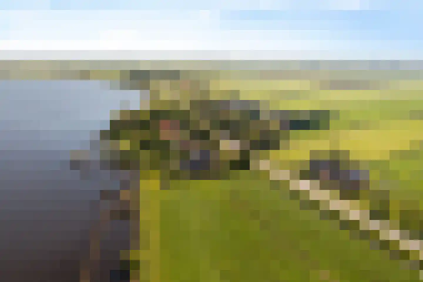 Marwei 82 Delfstrahuizen thumbnail 49