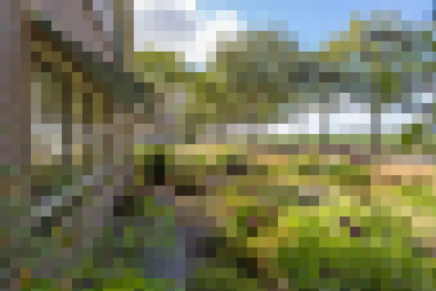 Marwijksoord 3 Marwijksoord thumbnail 11