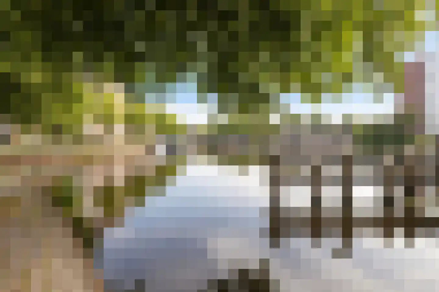 Marwixstraat 10 c Groningen thumbnail 33