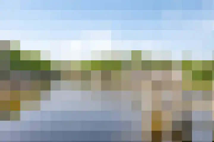 Marwixstraat 16 a Groningen thumbnail 36