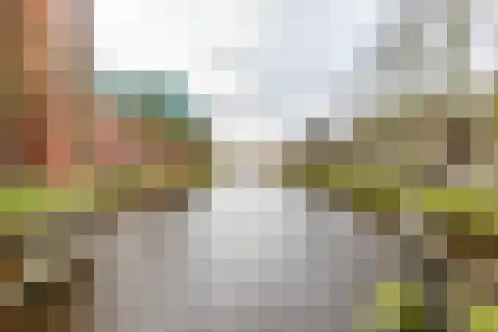 Marwixstraat 16 Groningen thumbnail 36