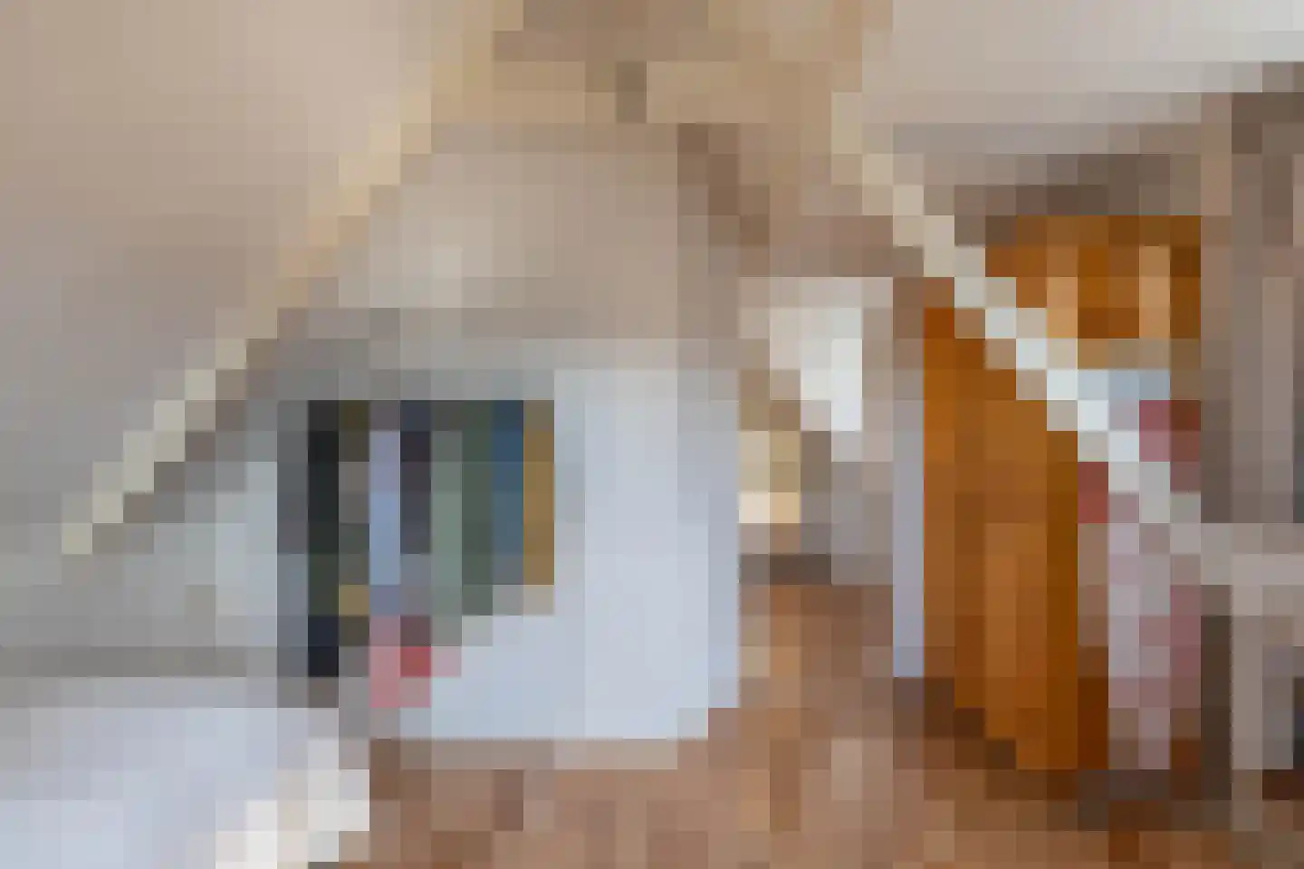 Marwixstraat 17 a Groningen thumbnail 22