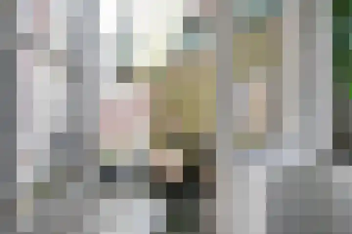 Marwixstraat 6 Groningen thumbnail 19