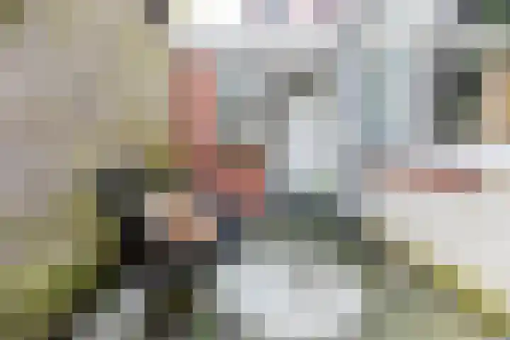 Marwixstraat 6 Groningen thumbnail 26