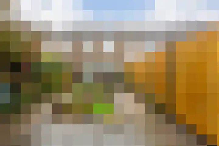 Marxsingel 10 Arnhem thumbnail 22
