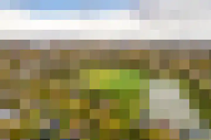 Marxsingel 10 Arnhem thumbnail 29