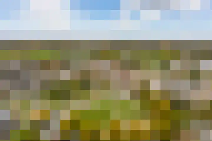 Marxsingel 10 Arnhem thumbnail 31