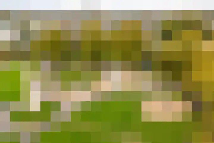 Marxsingel 10 Arnhem thumbnail 32