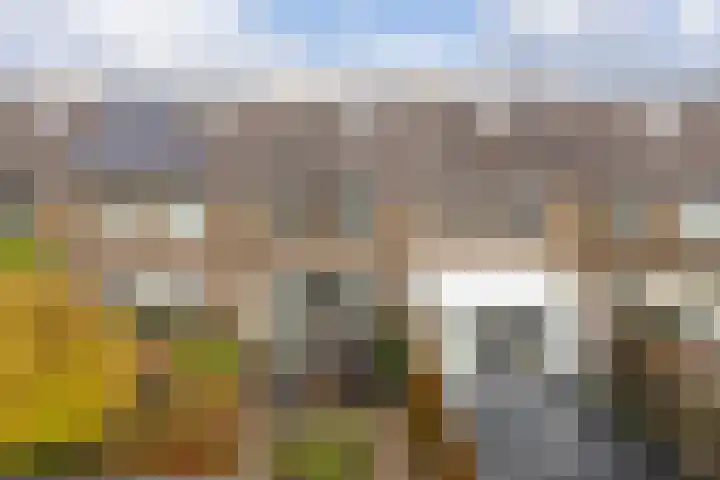 Marxsingel 10 Arnhem thumbnail 5