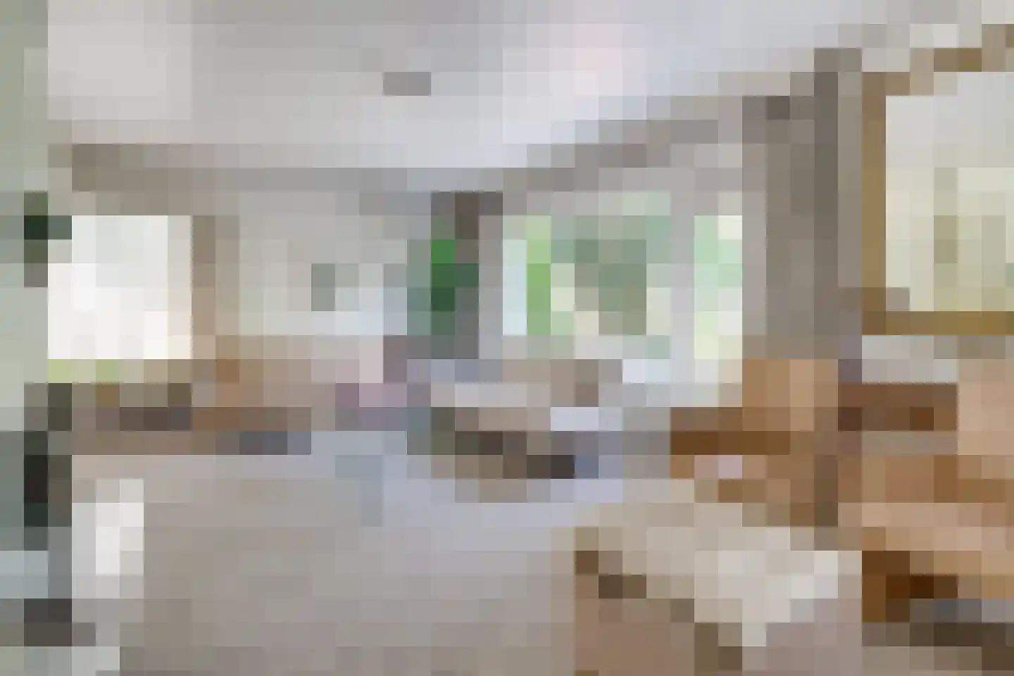 Marxstraat 5 Didam thumbnail 11