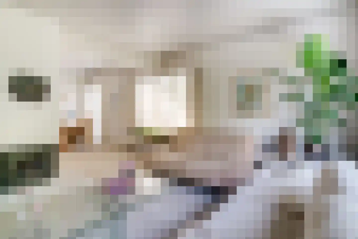 Marxstraat 5 Didam thumbnail 13