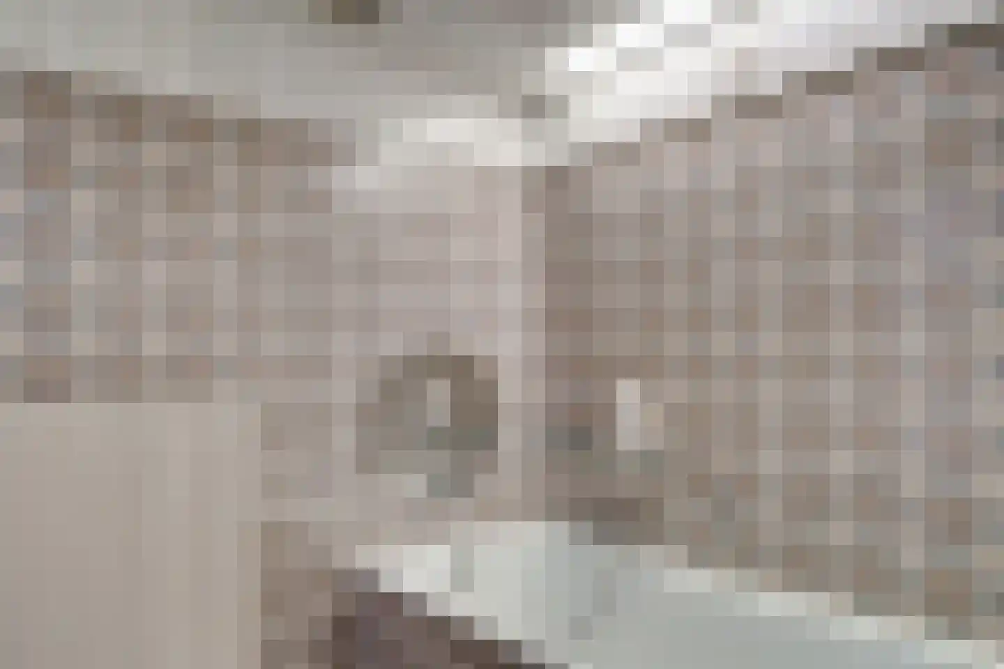 Marxstraat 5 Didam thumbnail 24