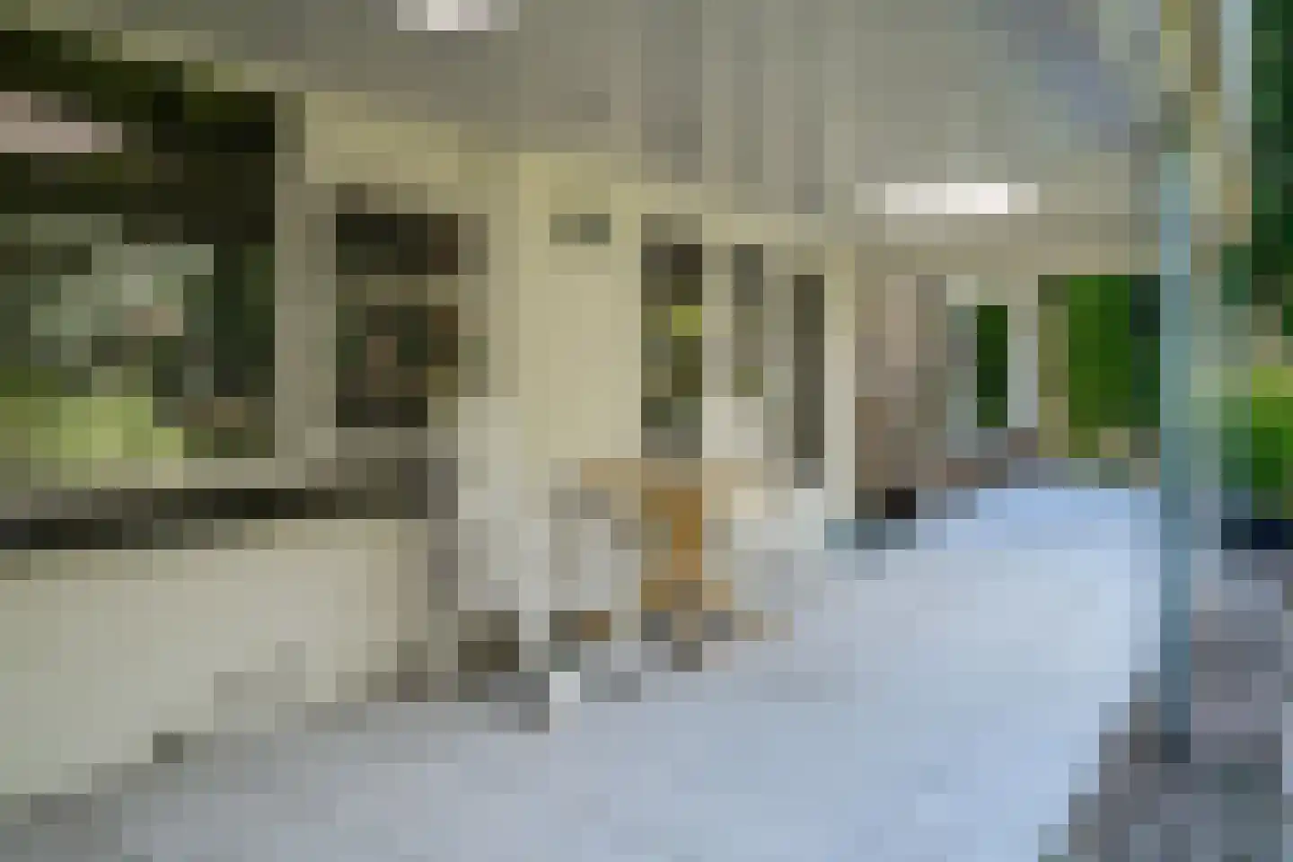 Marxstraat 5 Didam thumbnail 29