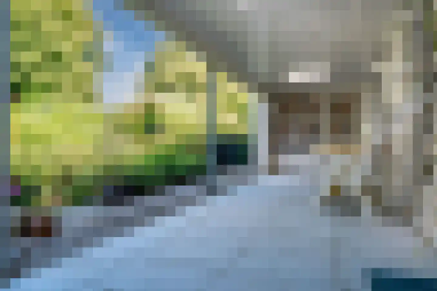 Marxstraat 5 Didam thumbnail 30