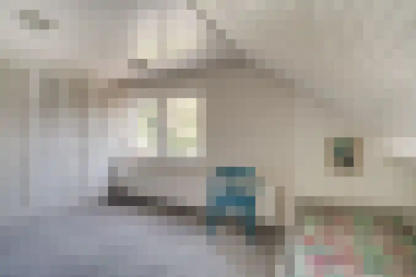 Marxstraat 5 Didam thumbnail 54