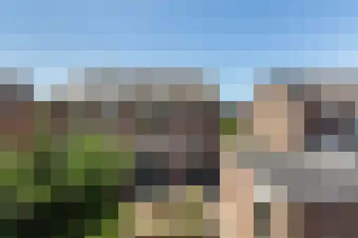Marxstraat 8 Didam thumbnail 18