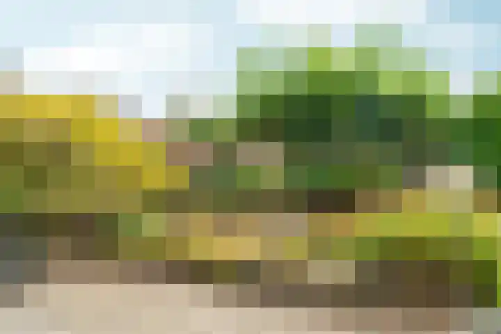 Marxstraat 8 Didam thumbnail 30