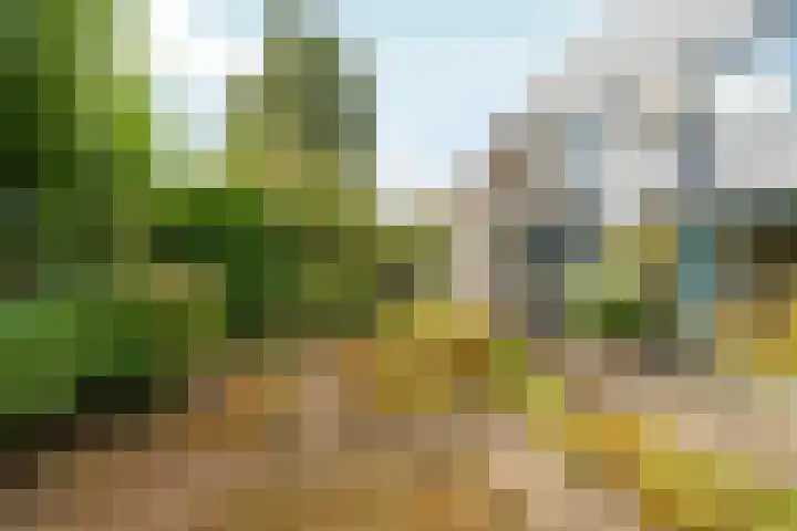 Marxstraat 8 Didam thumbnail 34