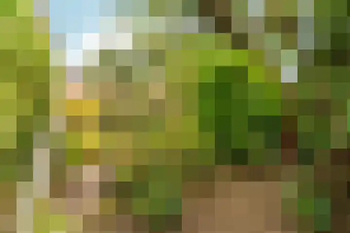 Marxstraat 8 Didam thumbnail 37