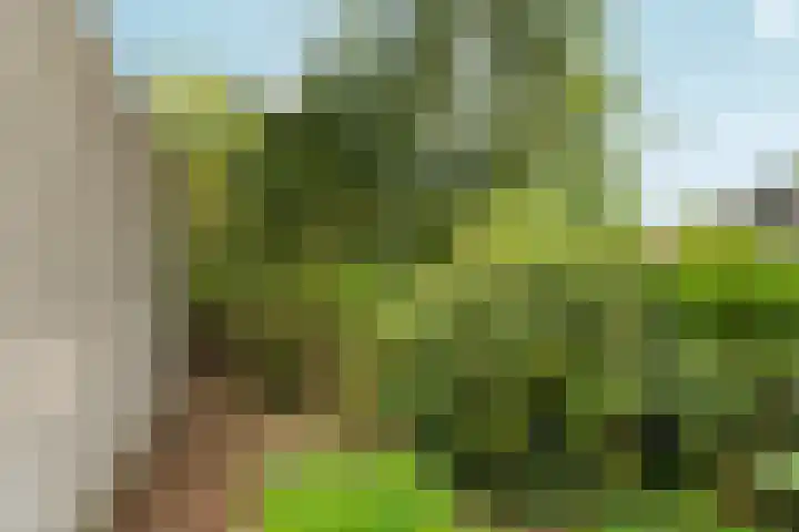 Marxstraat 8 Didam thumbnail 40