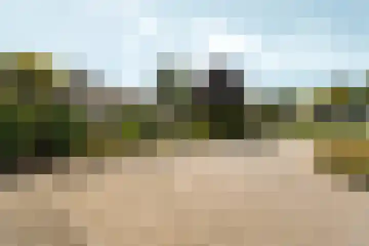 Marxstraat 8 Didam thumbnail 47