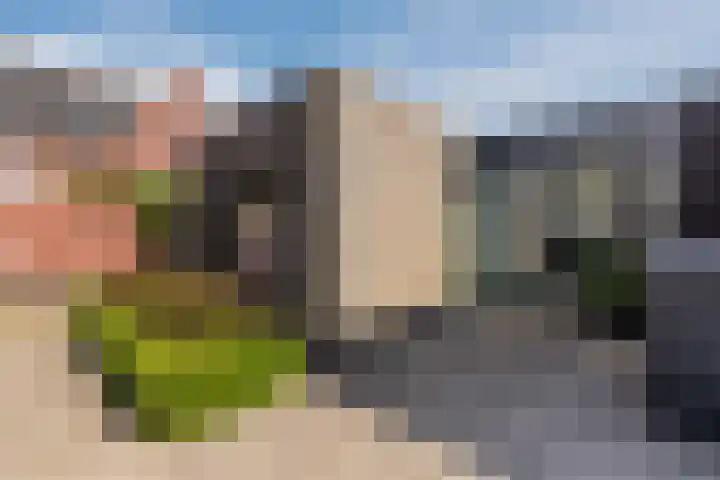 Mary Dresselhuysstraat 20 Rijen thumbnail 32