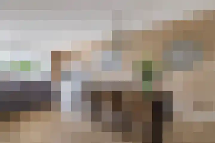 Mary Dresselhuysweg 38 Berkel en Rodenrijs thumbnail 18