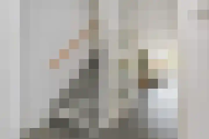 Mary Dresselhuysweg 42 Berkel en Rodenrijs thumbnail 6