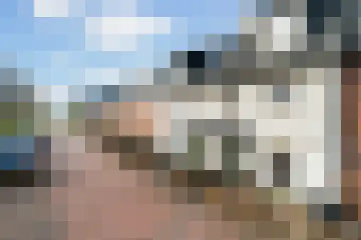 Mary Dresselhuysweg 46 Berkel en Rodenrijs thumbnail 4