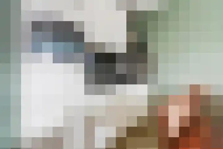 Mary Muskensstraat 3 Moergestel thumbnail 4