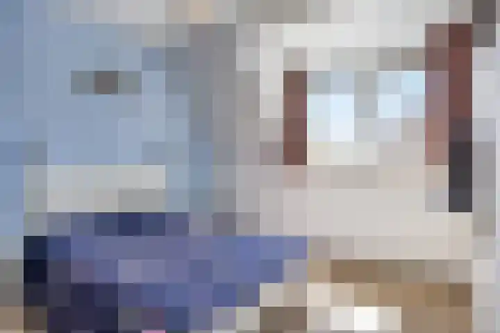 Mary Stuartlaan 15 Veere thumbnail 16
