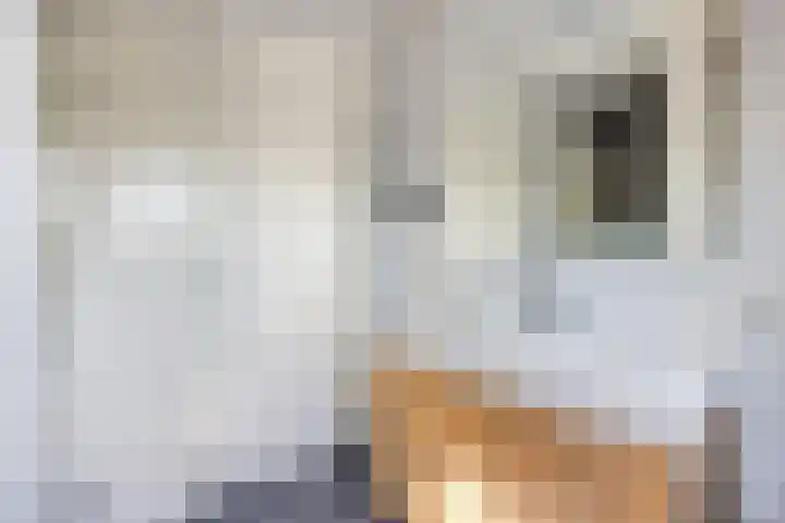 Mary Stuartlaan 15 Veere thumbnail 20