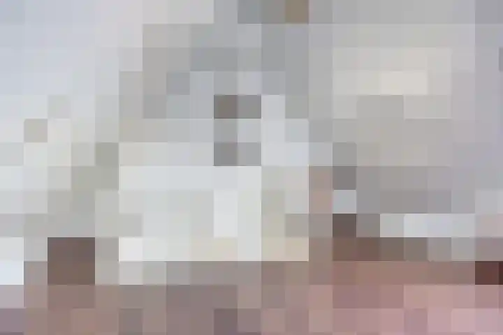 Mary Stuartlaan 15 Veere thumbnail 25
