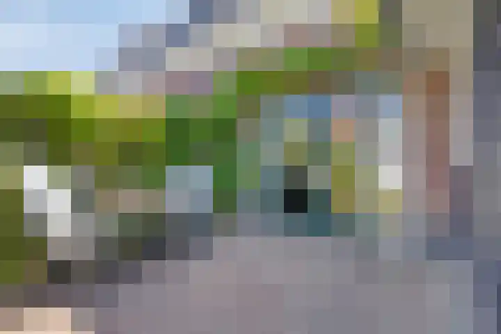 Mary Stuartlaan 15 Veere thumbnail 28