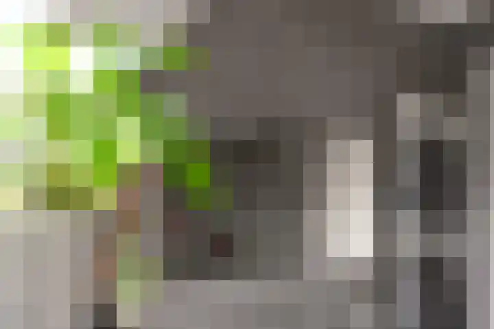 Mary Stuartlaan 17 Veere thumbnail 20