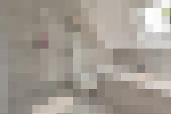 Mary Stuartlaan 17 Veere thumbnail 21
