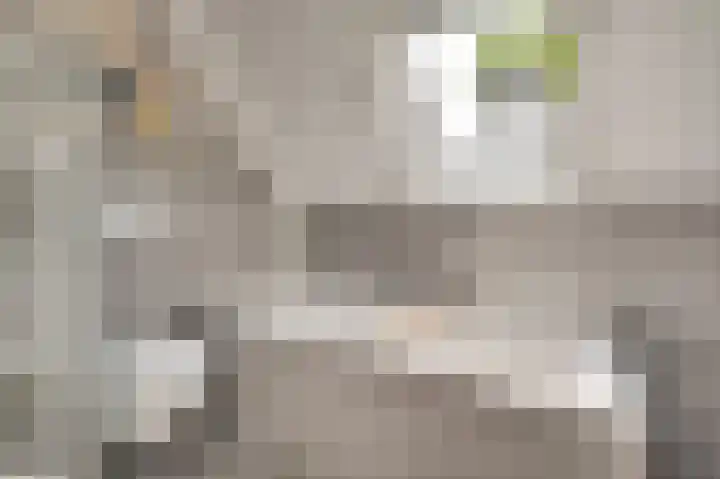 Mary Stuartlaan 17 Veere thumbnail 23