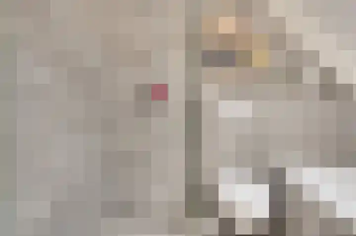 Mary Stuartlaan 17 Veere thumbnail 25