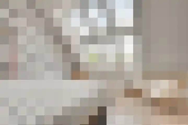 Mary Stuartlaan 17 Veere thumbnail 31