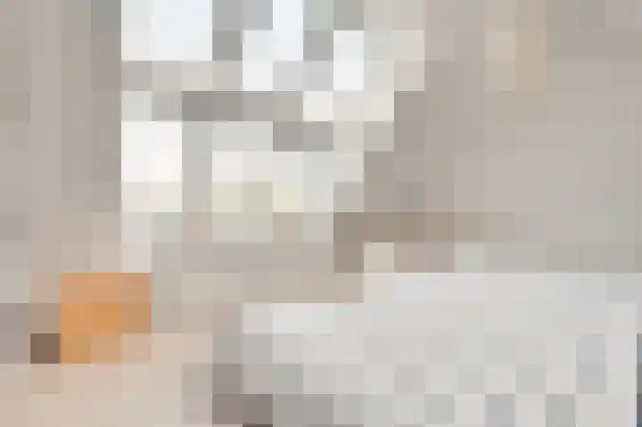 Mary Stuartlaan 17 Veere thumbnail 33