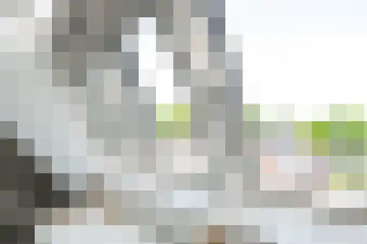 Mary Stuartlaan 17 Veere thumbnail 36