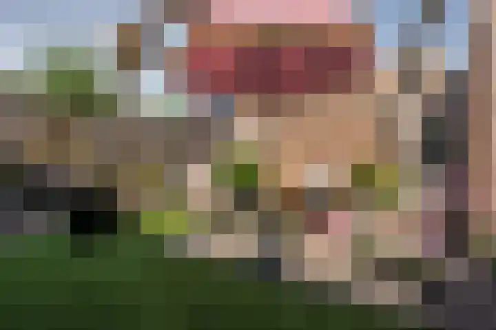 Mary Stuartlaan 17 Veere thumbnail 39