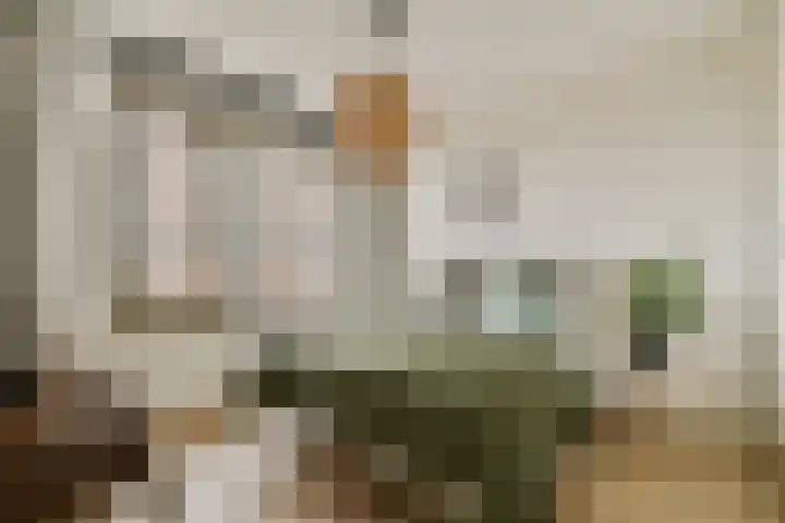 Mary van der Sluisstraat 344 Amsterdam thumbnail 11