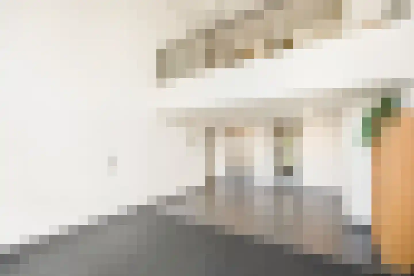 Mary van der Sluisstraat 388 Amsterdam thumbnail 27