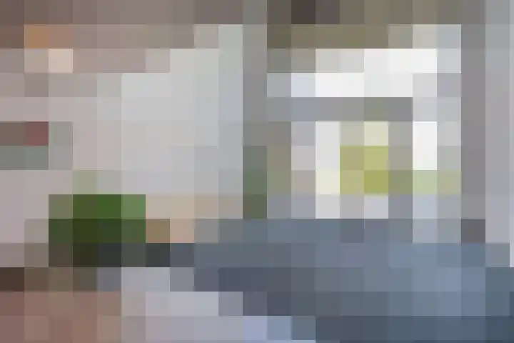 Mary van der Sluisstraat 454 Amsterdam thumbnail 33