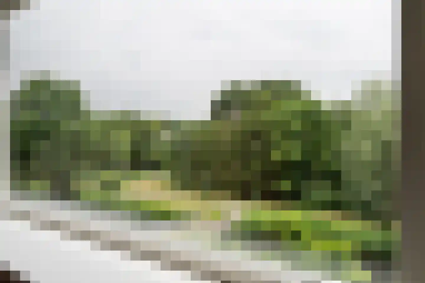 Mary Zeldenruststraat 3 Schiedam thumbnail 30